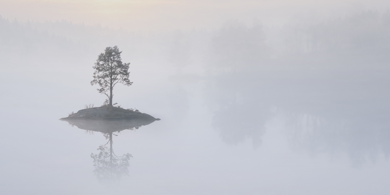 Sumuinen järvi ja saari, jolla kasvaa mänty